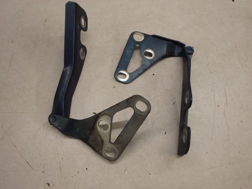 Haubenscharniere Motorhaubenscharniere Opel Signum  Farbcode Z21U