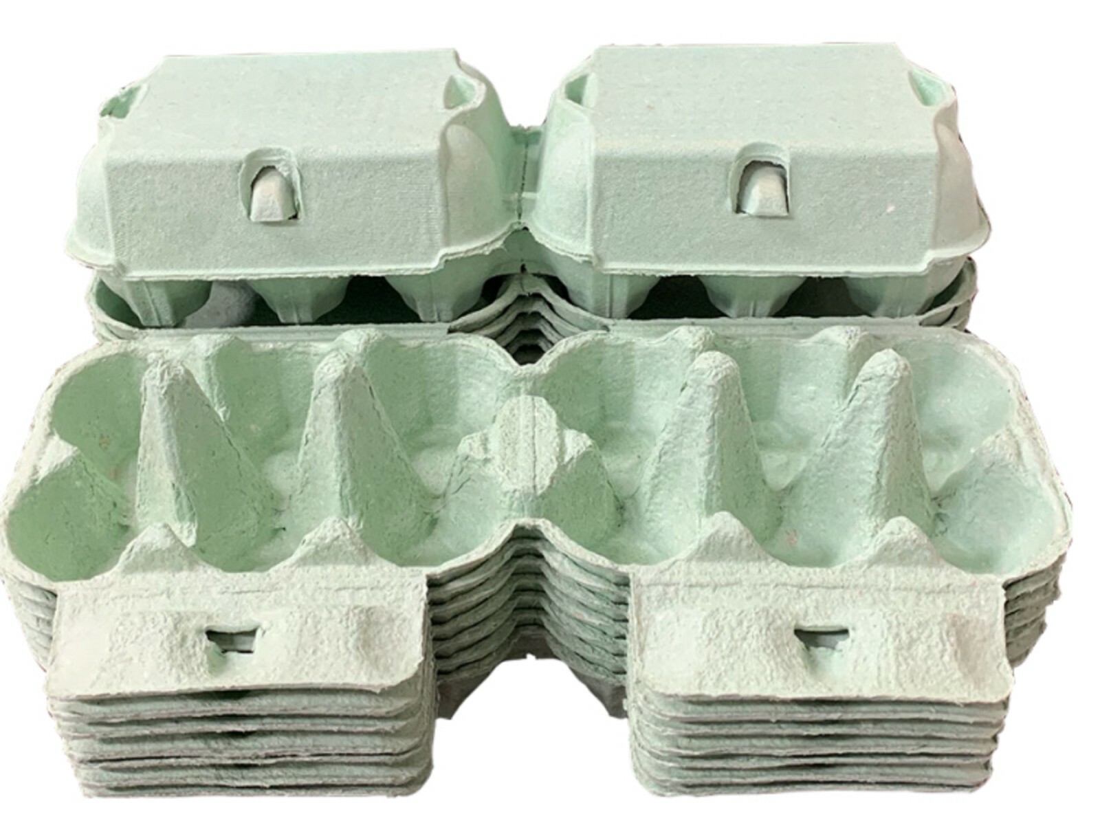 50 MINT GREEN EGG BOXES QUALITY CARTONS