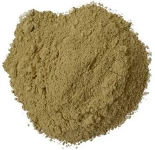 Eva Impex Bhumi Amla Powder – Phyllanthus Niruri (Amlaki Herb)