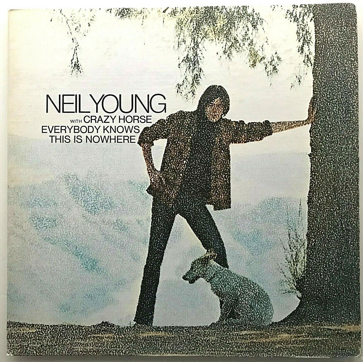 超レア盤⭐︎廃盤 NEIL YOUNG CRAZY HORSE レコード LP NEIL YOUNG &CRAZY HORSE 