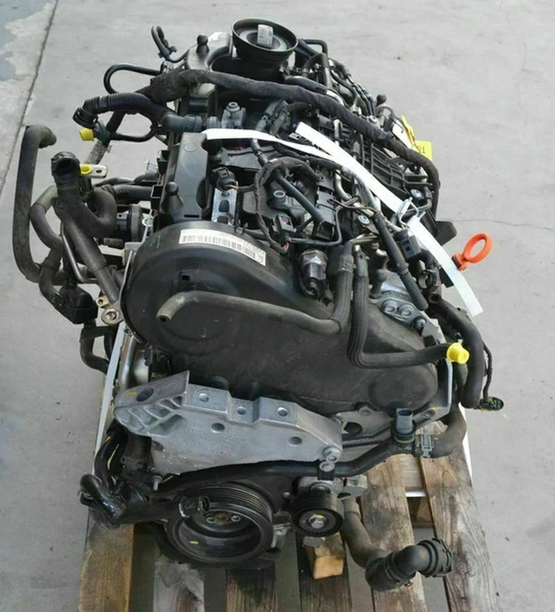 Motor Volkswagen 1.6 TDI CAYC Audi Seat Skoda ca. 68000Km Unkomplett - Bild 3 von 4