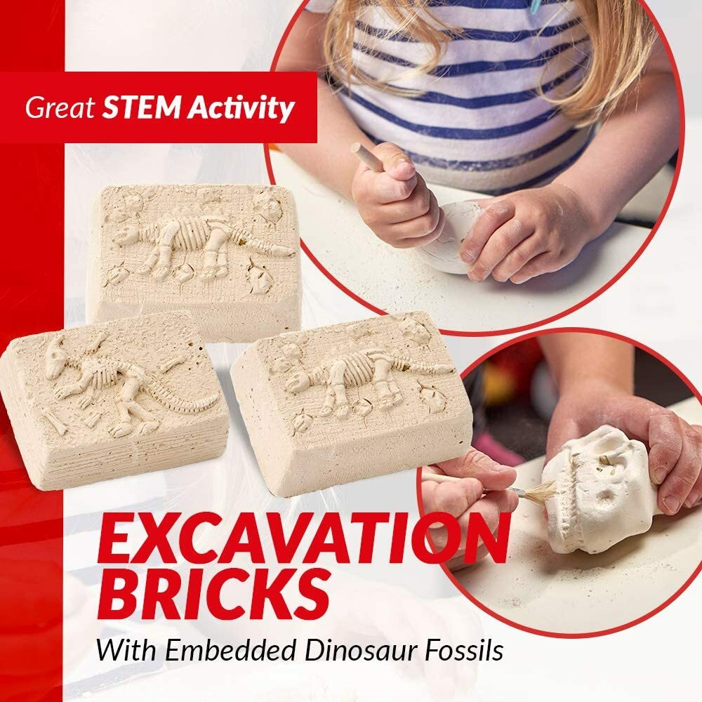Science Can Dinosaur Digging Fossil Kit for Kids, Dinosaur Bones ...