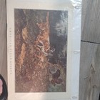 American Field Sports A.B. Frost Paper Art Print Matted Hunting Dog Birds — photo 2