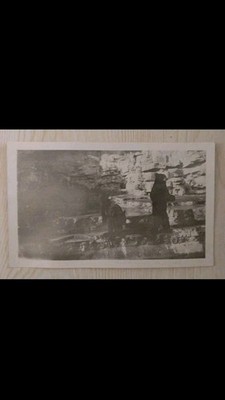 Two Big Bears~St. Louis Zoo~Missouri MO~Antique 1921 Photo~Small~B&W~2.75 x 4.5''