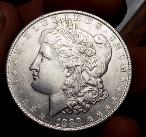MORGAN SILVER DOLLAR 1889 GEM BU MS+++++ FROSTY WHITE BEAUTY