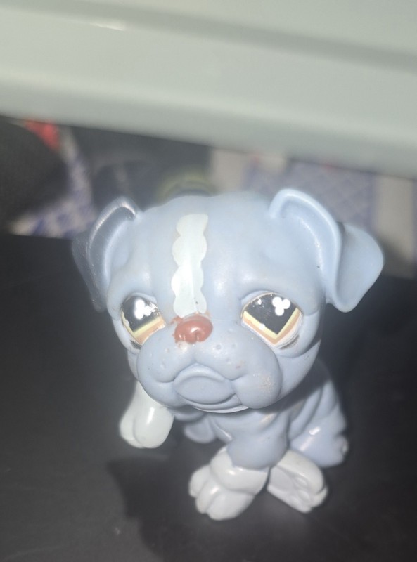 BULLDOG DOG #668 - Authentic Littlest Pet Shop - Hasbro LPS