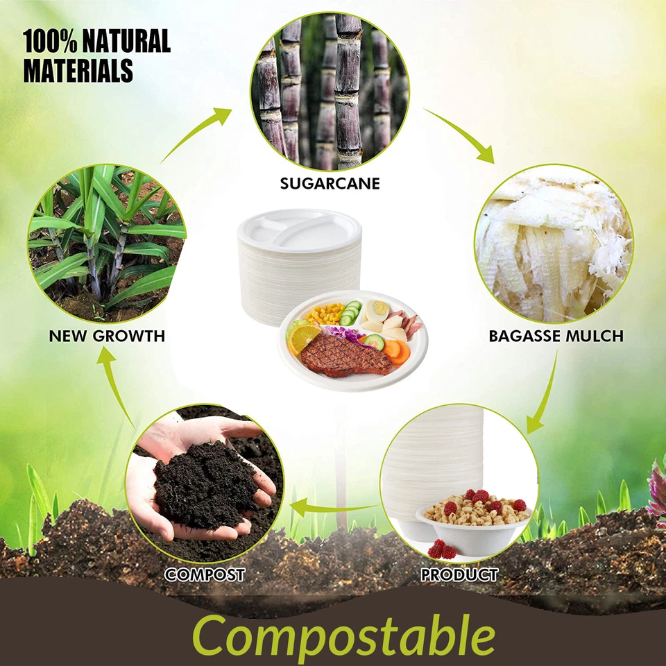 Placa de papel desechable 100 % compostable 3 compartimentos placas de papel de alta resistencia de 10" Foto 4 de 4