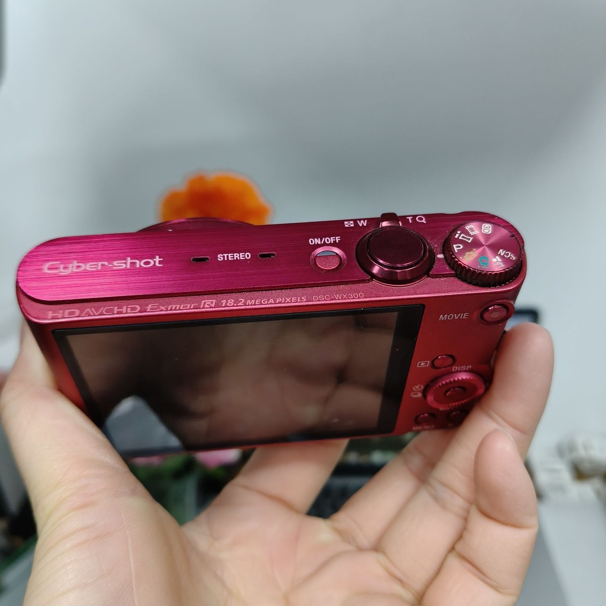 SONY Cyber-shot DSC-WX300 Red Compact Digital Camera English 18.2