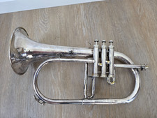flugelhorn Schenkelaars Sapphire