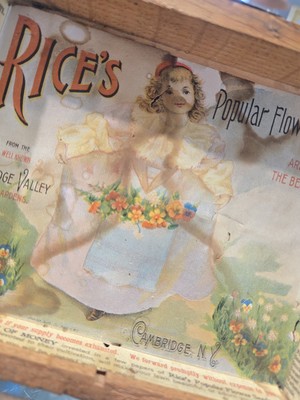 す*♬様 Nymphea Poudre 紙箱5ケセット フランスアンティーク　希 ANTIQUE RICE'S FLOWER SEEDS CAMBRIDGE VALLEY NY WOOD SEED BOX
