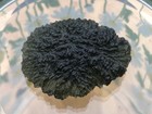 Moldavite Natural Supersize 17g