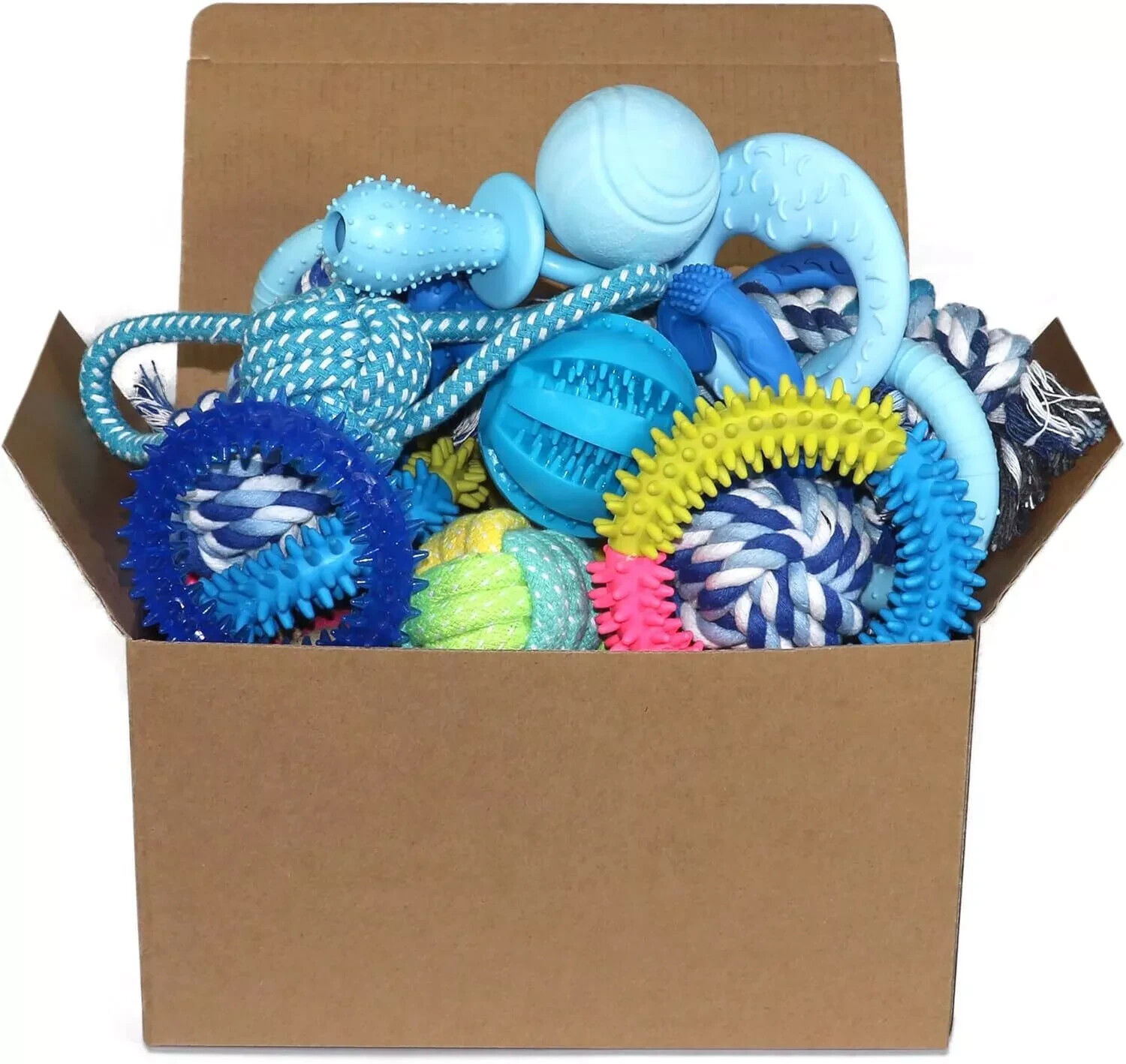 20 Pack Puppy Toys Set - Chew for Teething, Interactive Dog Blue