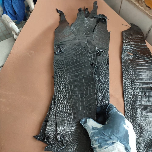 1X Real Alligator Skin Hide Genuine Crocodile Belly Leather Pelt Craft Material - Picture 9 of 10