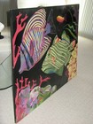 LOCAL PICKUP Pompano FL - 48"x36" ~Coral Reef~ OOAK Painting Acrylic on Canvas — photo 9