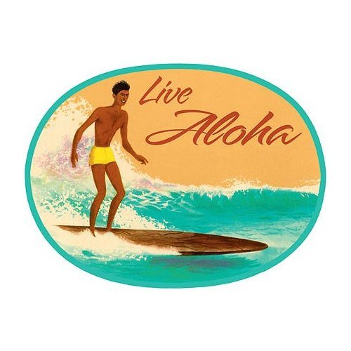 Local Motion Hawaii Surf Sticker Decal – Vintage Classic Old School Vinyl