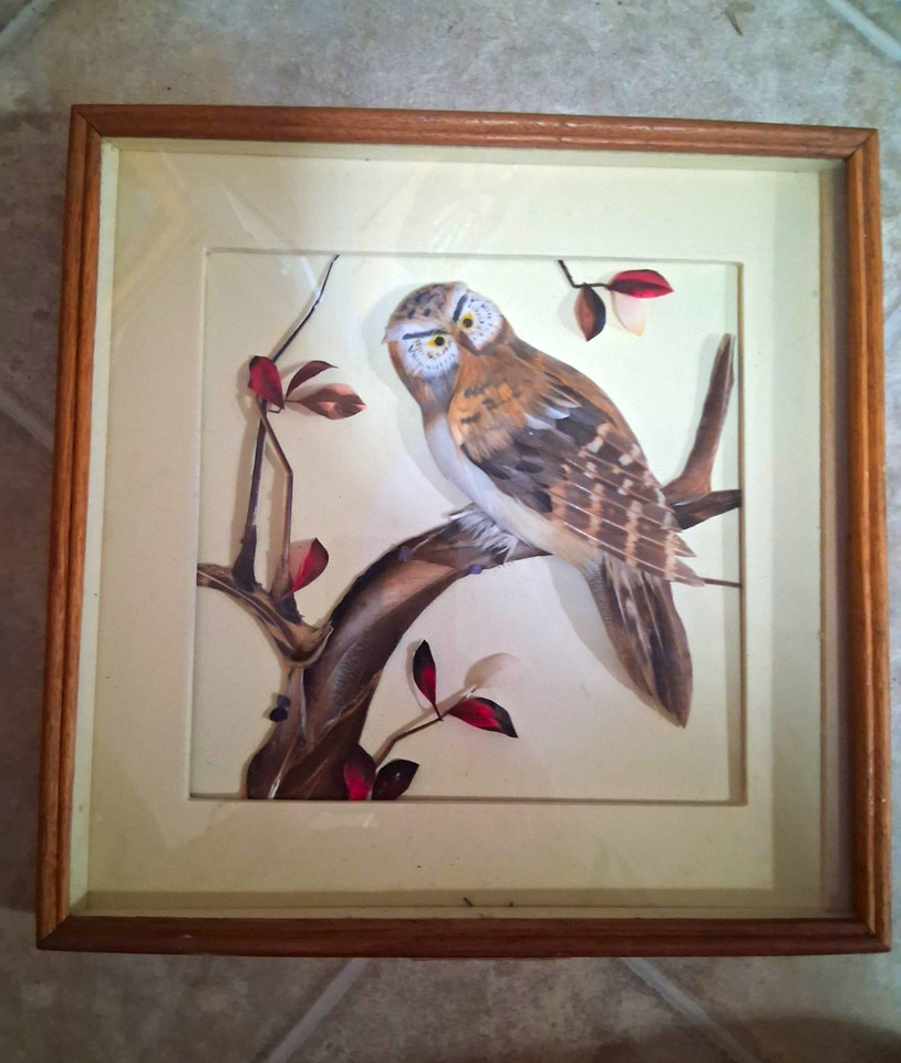 Retro-Boho Mid Century Feathered Wall Art
