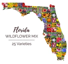 Wildflower Mix FLORIDA Mix Perennials Annuals 25 Flower Types Non-GMO 1000 Seeds