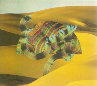 Django Django - Django Django (CD 2012) Digipak