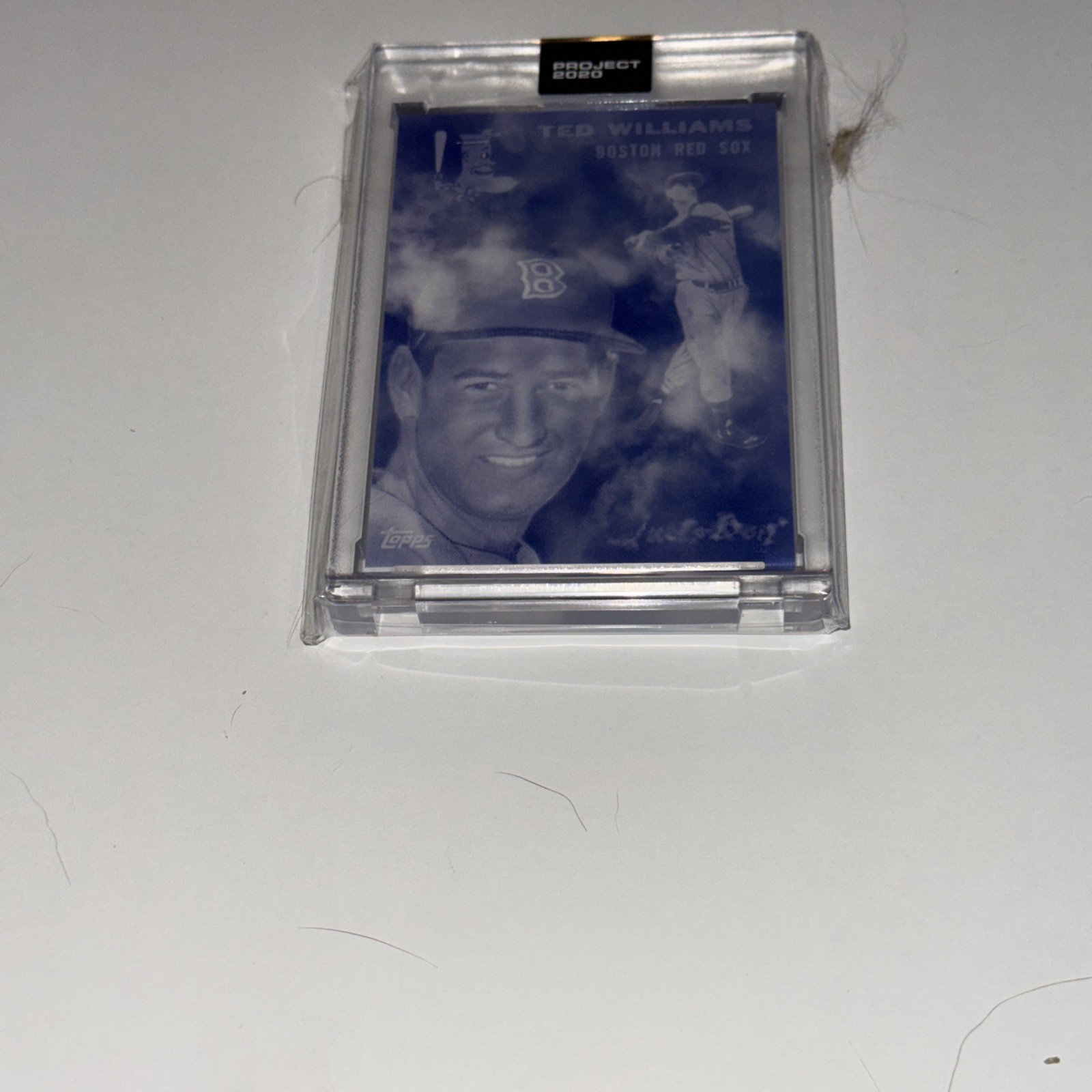 2020 Topps Project 2020 - 1954 Topps Ted Williams #146 Don C /4693