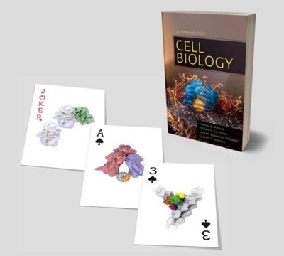 Zellbiologie Spielkarten: Zellbiologie Spielkarten: Kunstkartendeck (einzeln