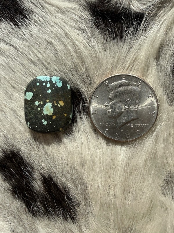 Bamboo Turquoise Cab ~~ Coin Not For Sale Used For Size Only ~~