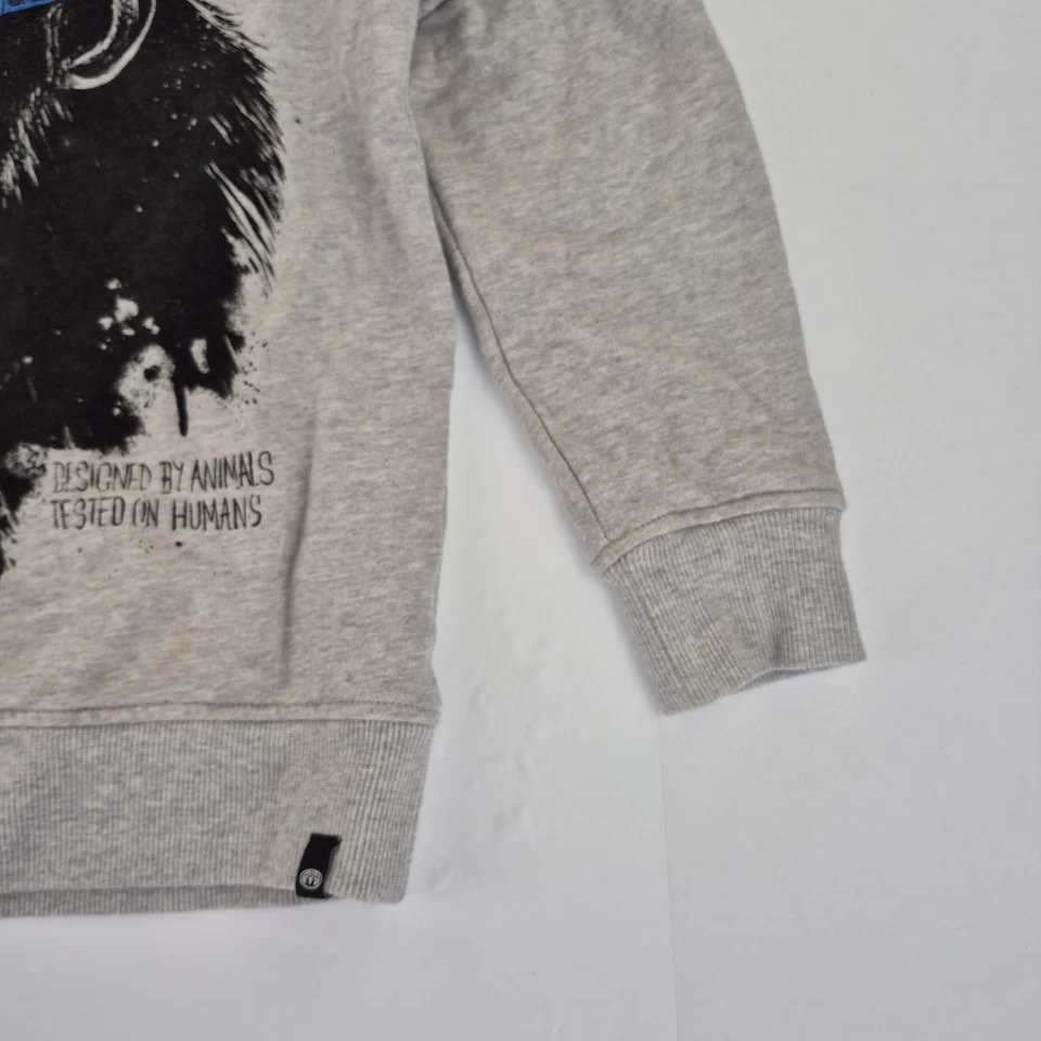 Sudadera ANIMAL 9-10 Años Gris Niños Pullover Jumper Estampado Gráfico - Imagen 4 de 4