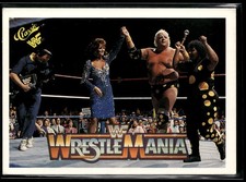 Dusty Rhodes / Sapphire / Miss Elizabeth 1990 Classic WWF The History  #122