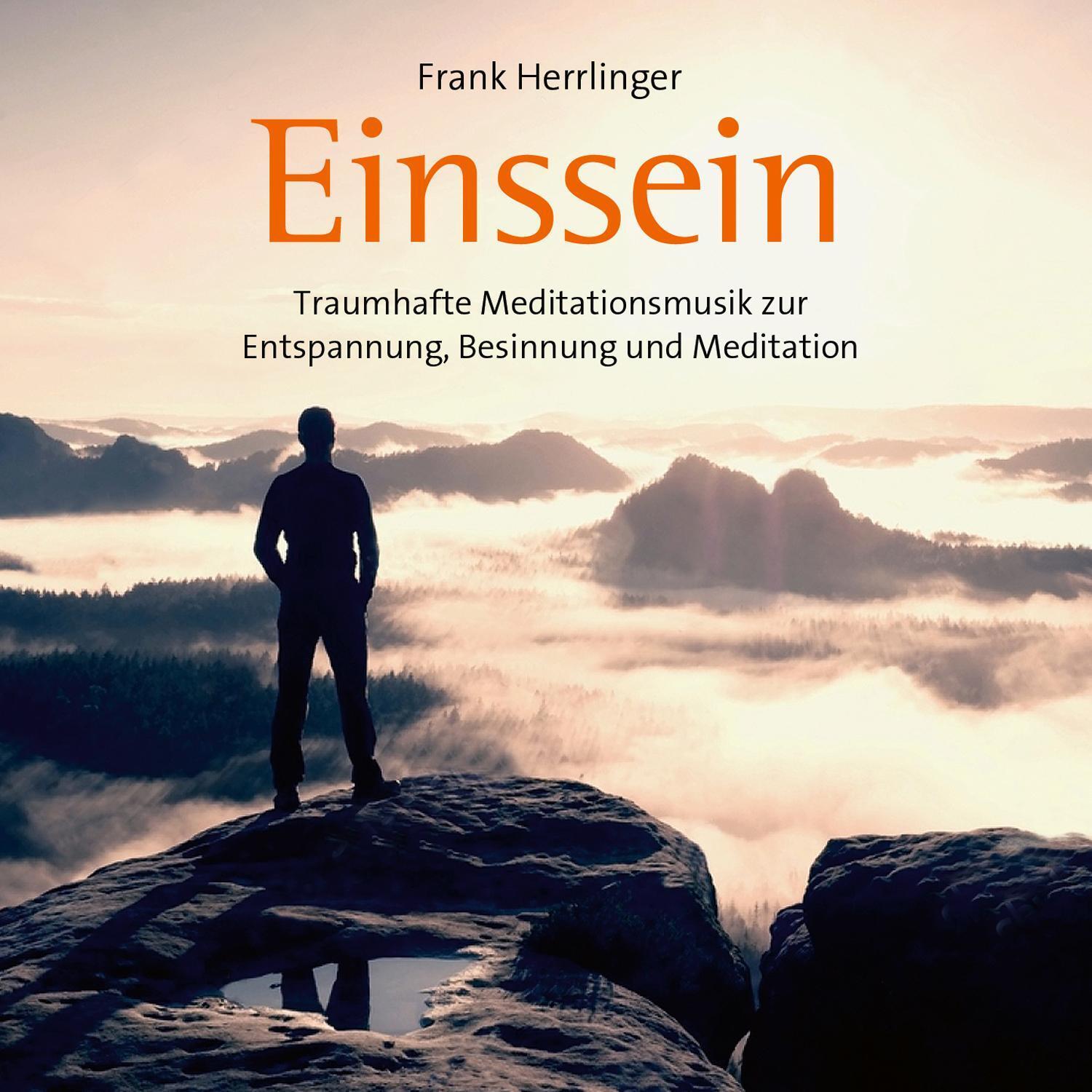Thumbnail - Einssein Frank Herrlinger