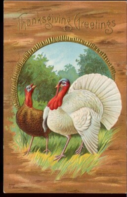 Postcard Antique Thanksgiving Greetings White Brown Turkeys Early 1900s ...
