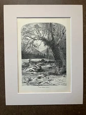 Antique 1874 Wood Engraving "The French Broad" NC in Frame-Ready 11x14 Mat