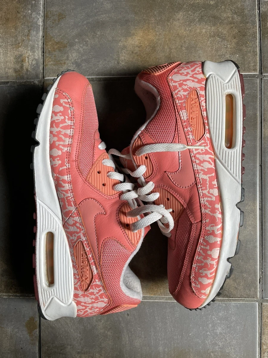 Nike Air Max 90 Powerwall Sunblush Sz 10 Rare 2006 Supeme SB Dunk AF1 Vintage