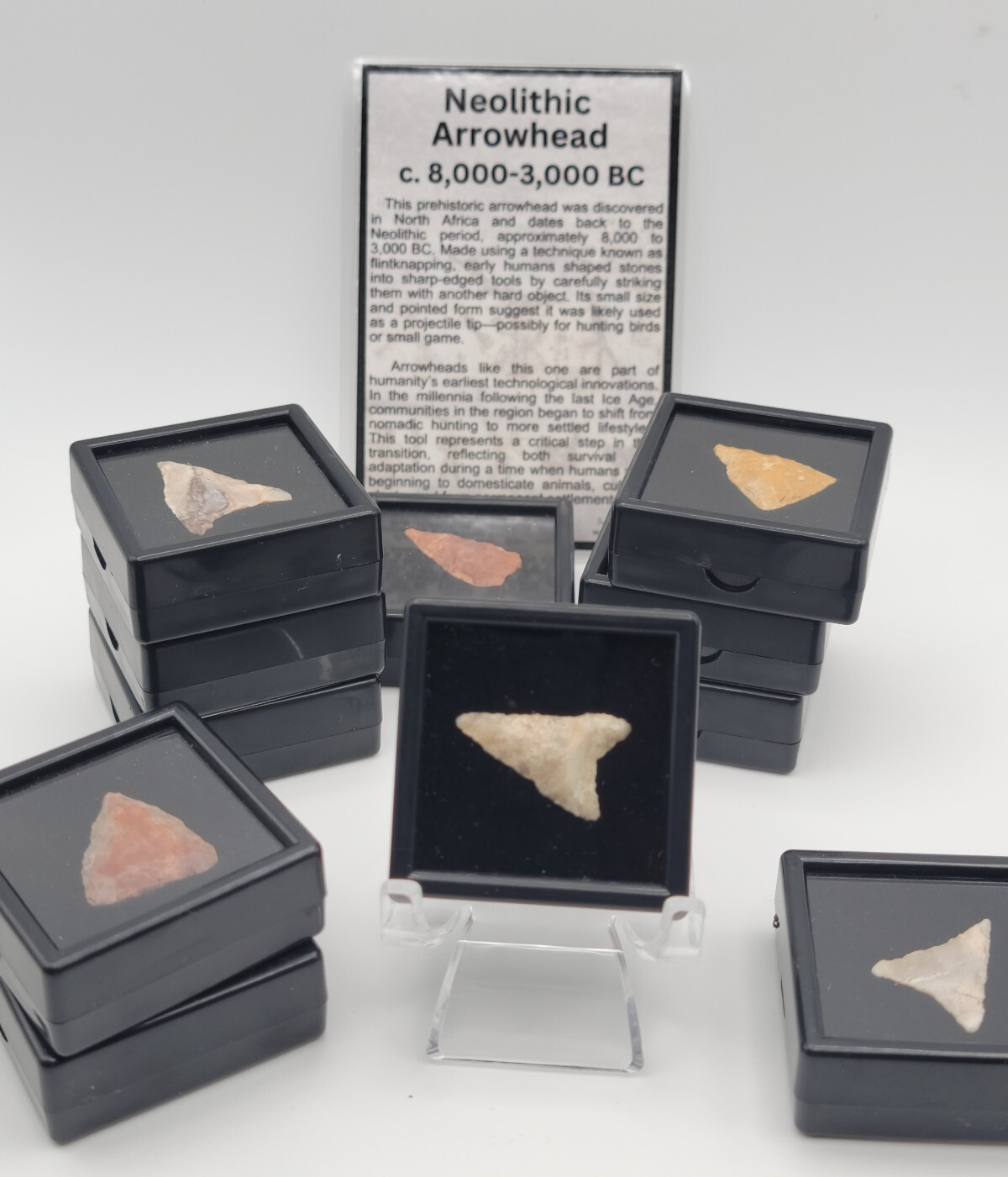 1 One Random Neolithic Arrowhead 8,000–3,000 BC w/ Display Case ...