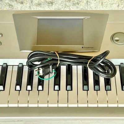 KORG TRINITY Plus Music Workstation Synthesizer 61-Key with Power