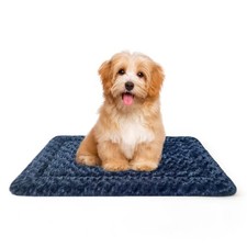 Medium Dog Bed Mat, Washable Crate Pad with Non-Slip Bottom, Soft Kennel Mat ...