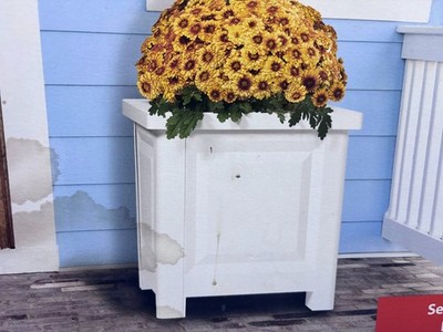 Belavi 16 Inch Square Planter Box White UV Resistant Snap Together Outdoor Patio