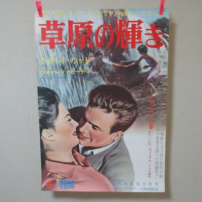 SPLENDOR IN THE GRASS 1961' Original Movie Poster B Japanese B2 Natalie Wood