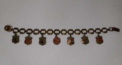Vintage European Germany Charm Bracelet Enameled  Crested Charms 7''L