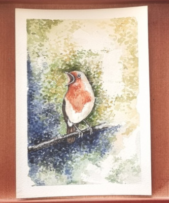 Original Aquarell Gemälde - Rotkehlchen Vogel auf Ast