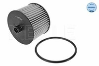 Meyle Kraftstofffilter FüR Citroen C4 I,C5 II III,C8,JUMPY; Fiat Scudo,Ulysse