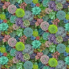 Fabric Succulents Real Full ELIZABETH Cotton 1/4 Yard 599E