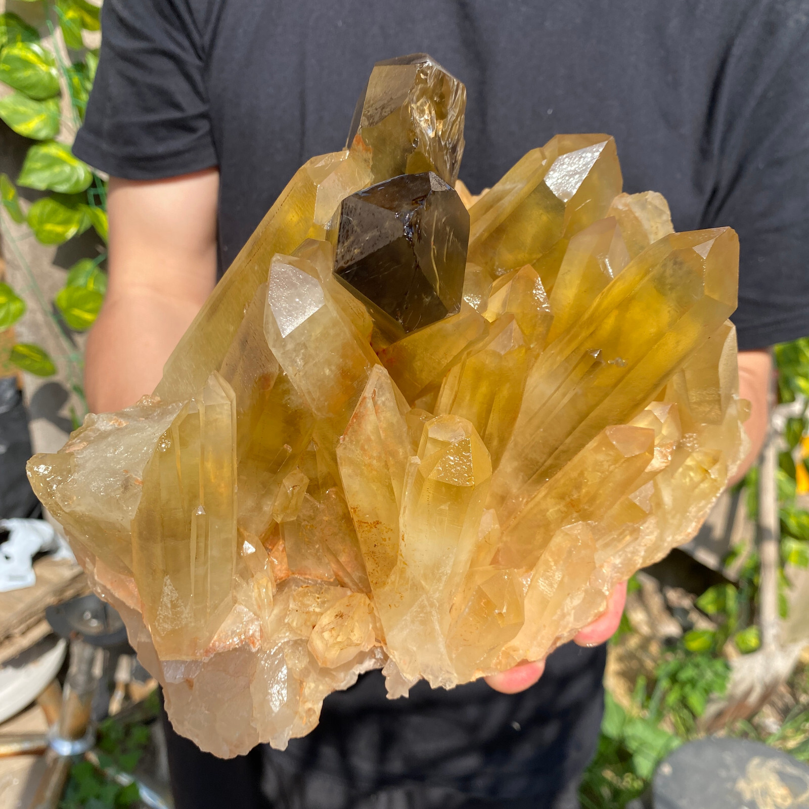 8.5LB Natural citrine quartz cluster crystal specimen Healing