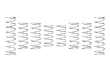 Eibach PRO-UTV Stage 4 Spring Kit E85-209-032-04-22 Polaris RZR PRO R 4, New