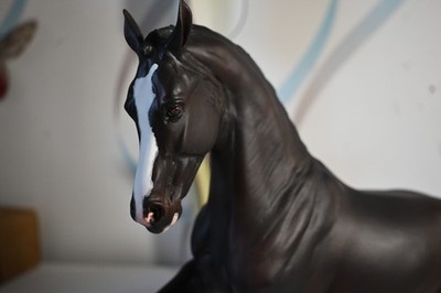 Custom Breyer Valegro bemalt von Deborah Brown (Deb Brown)