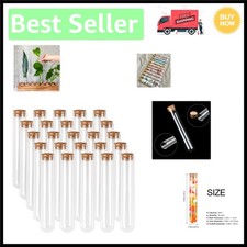 Elegant 25pcs Glass Tubes Set 45ml with Cork, Ideal for Home Decor  Labs