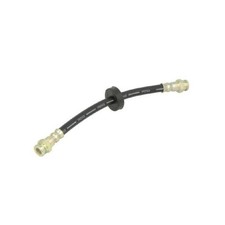 2x Bremsschlauch hinten für Fiat Brava 182 Ducato 244 Marea 185 | 24138396