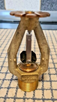Wikinger Feuerregnerkopf