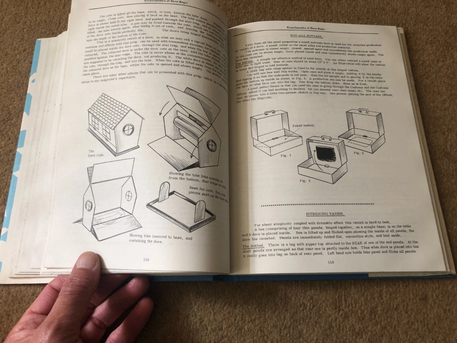 Picture 6 of 10