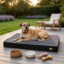 Luxury Orthopedic Memory Foam Velvet Dog Bed Waterproof Pet Sofa Crate Mattress