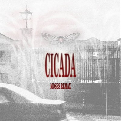 Moses Remax - Cicada (Vinyl 7'' - 2025 - EU - Original)