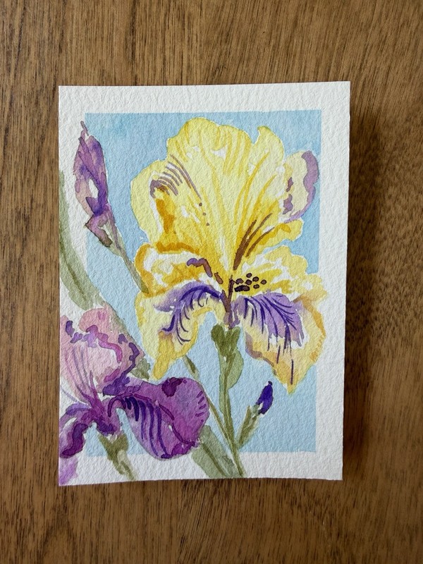 ACEO Original iris flowers, abstract botanical illustration floral 2.5x3.5in